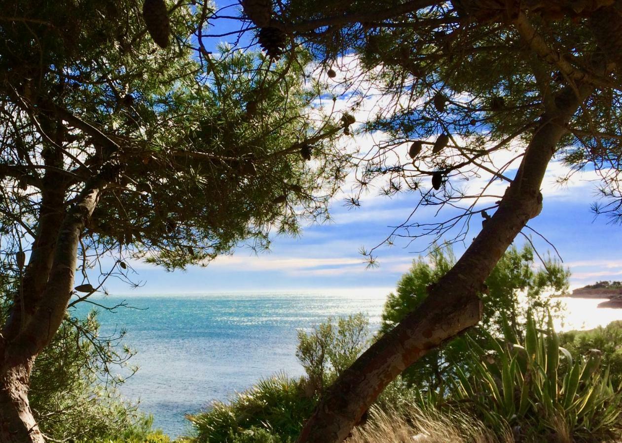 Apartmán Duplex Carma L'Ametlla de Mar Exteriér fotografie